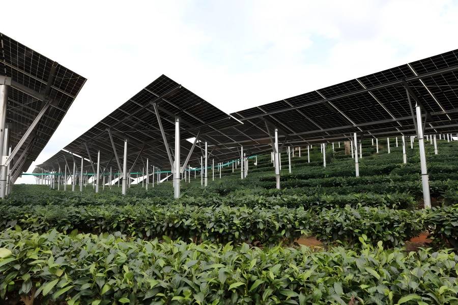 三能集團喜獲80MW光伏項目保障性建設指標， 綠色能源發(fā)展邁出堅實一步！